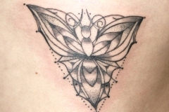 Schmetterling