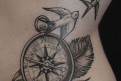 Kompass Vogel