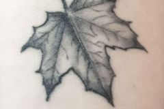 Blatt