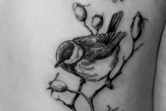 Vogel