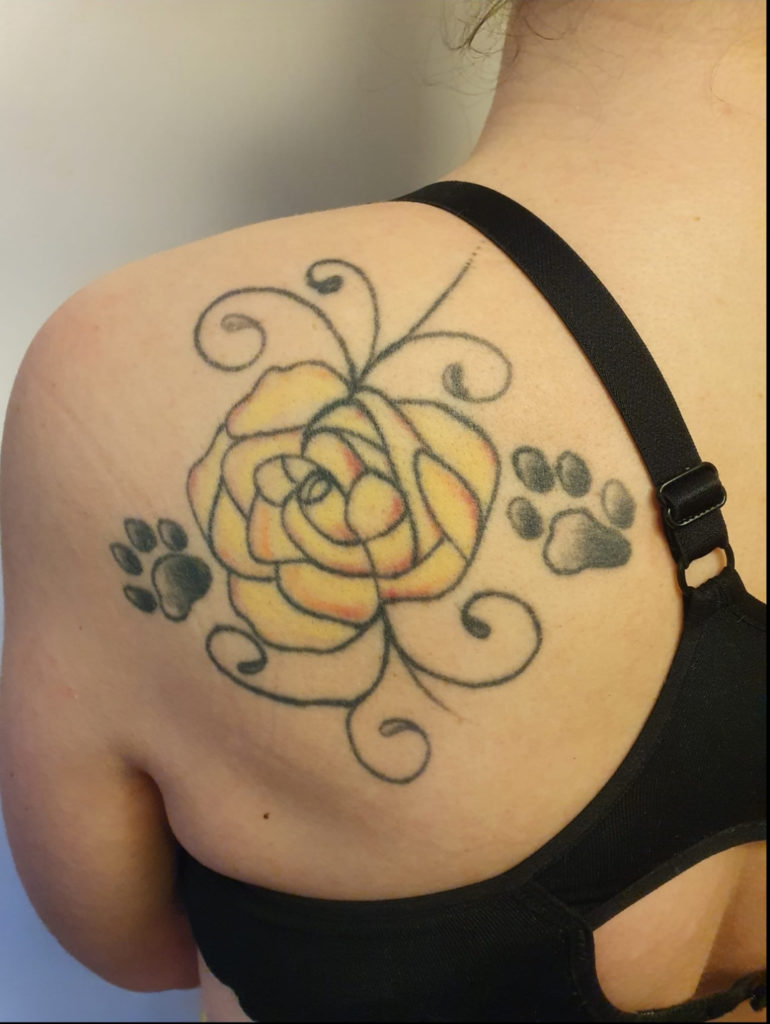 Cover-Up